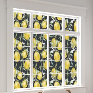 Lemon Tree Bears Lemon Elements (7)