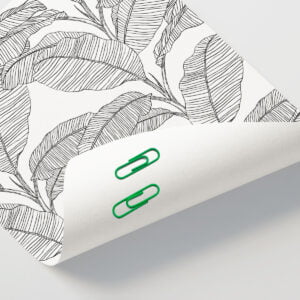 Simple Grey Leaf Banana Leaf Plant Leaf on White Background (3)