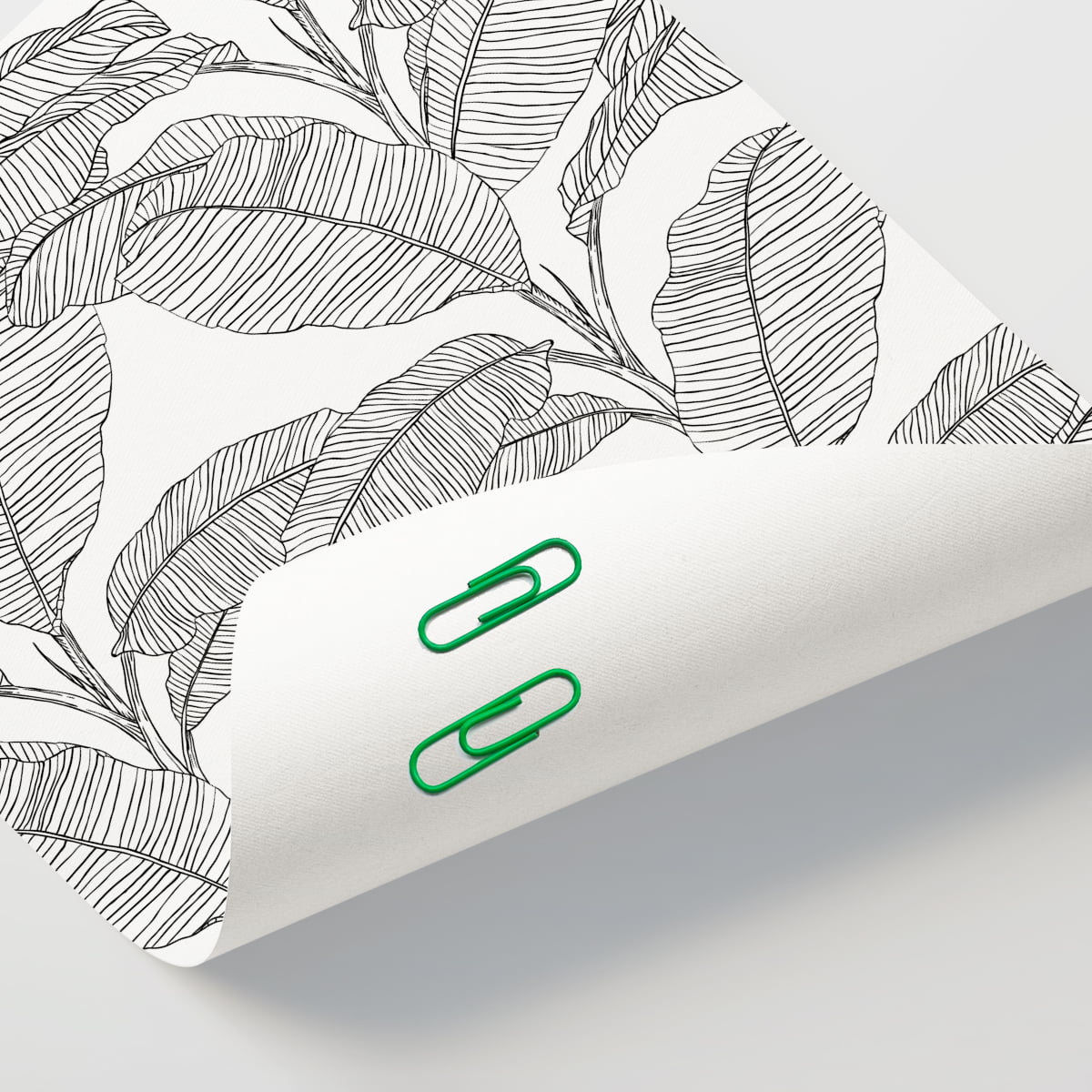 Simple Grey Leaf Banana Leaf Plant Leaf on White Background (3)