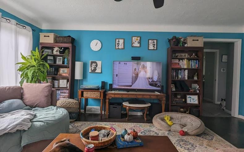 wall-covering-small-room